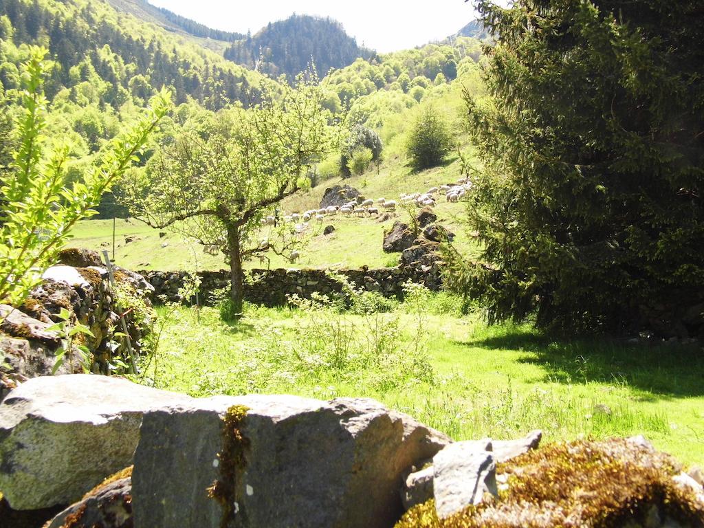 Gite Auberge Les Cascades La Mongie Esterno foto