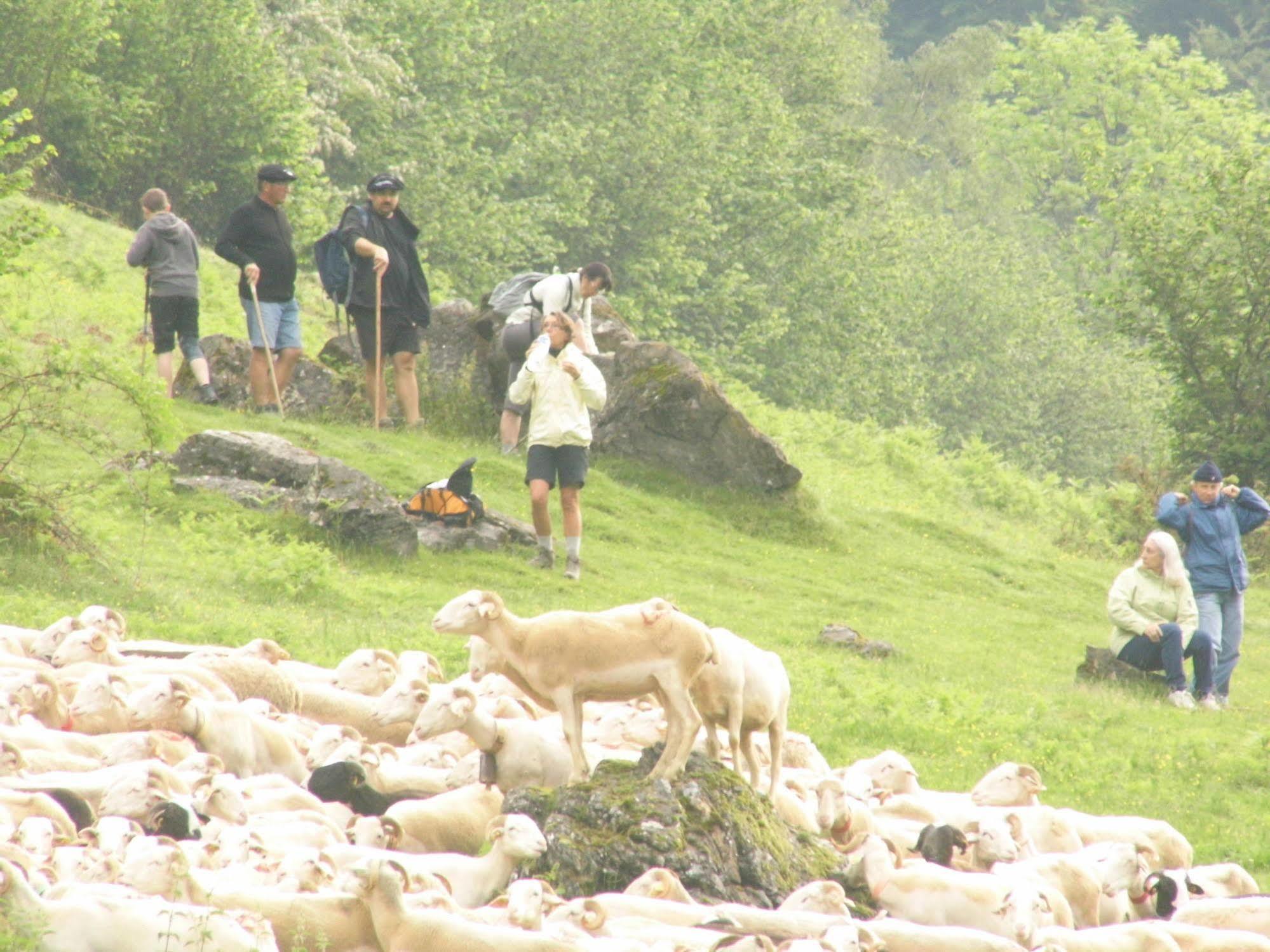 Gite Auberge Les Cascades La Mongie Esterno foto