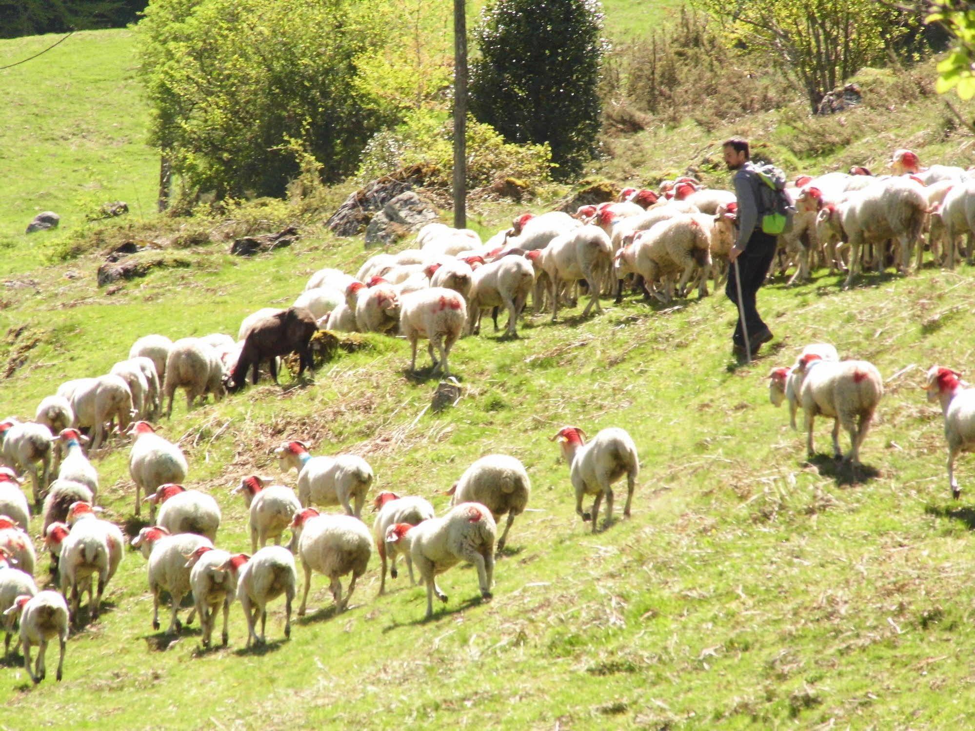 Gite Auberge Les Cascades La Mongie Esterno foto