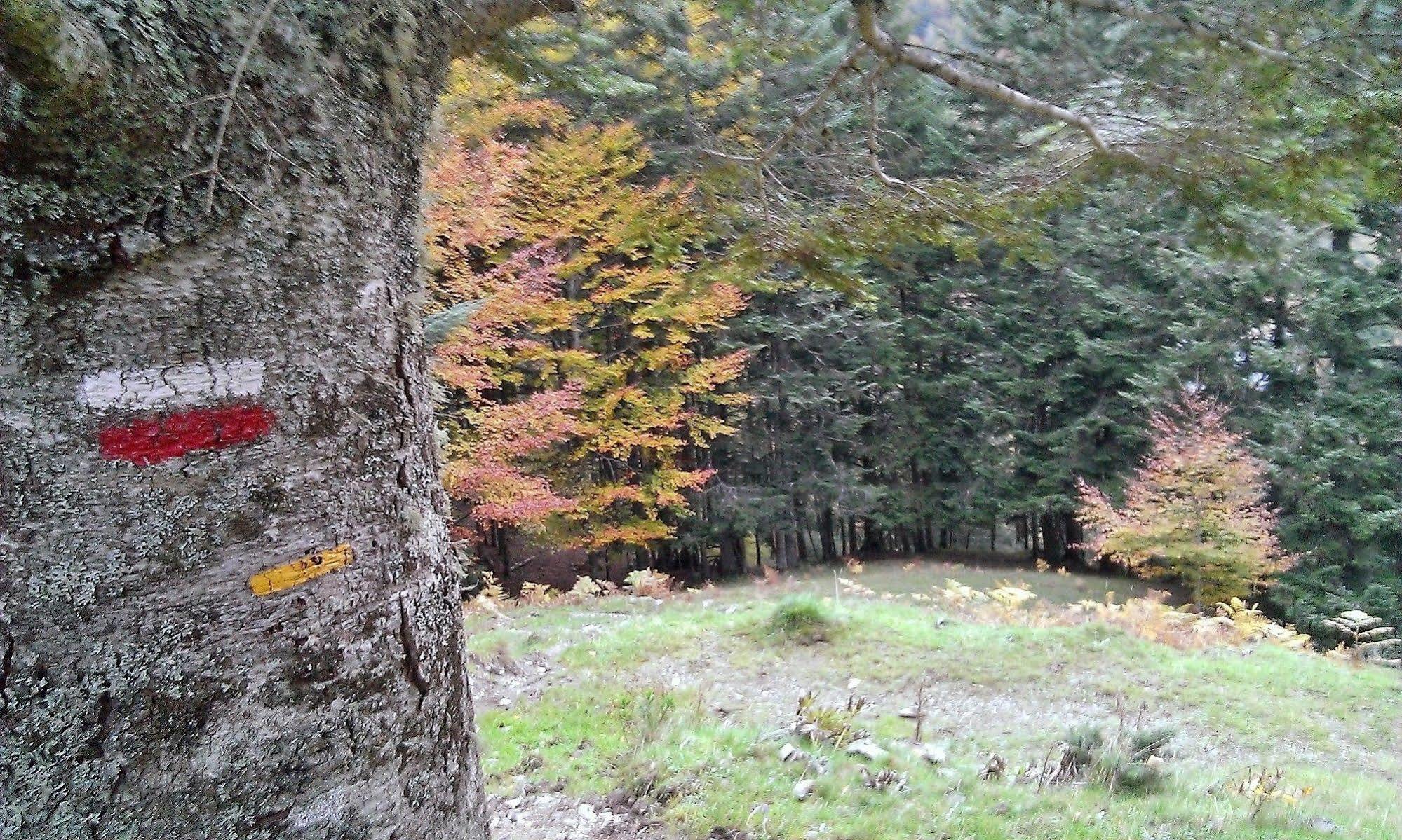 Gite Auberge Les Cascades La Mongie Esterno foto